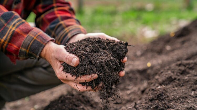 Various types of farming soil