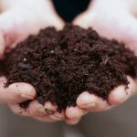care of your soil